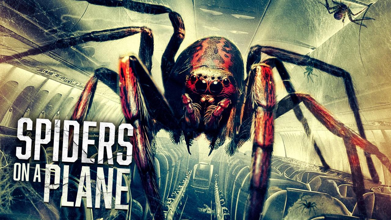 مشاهدة فيلم Spiders On A Plane 2024 مترجم كامل HD